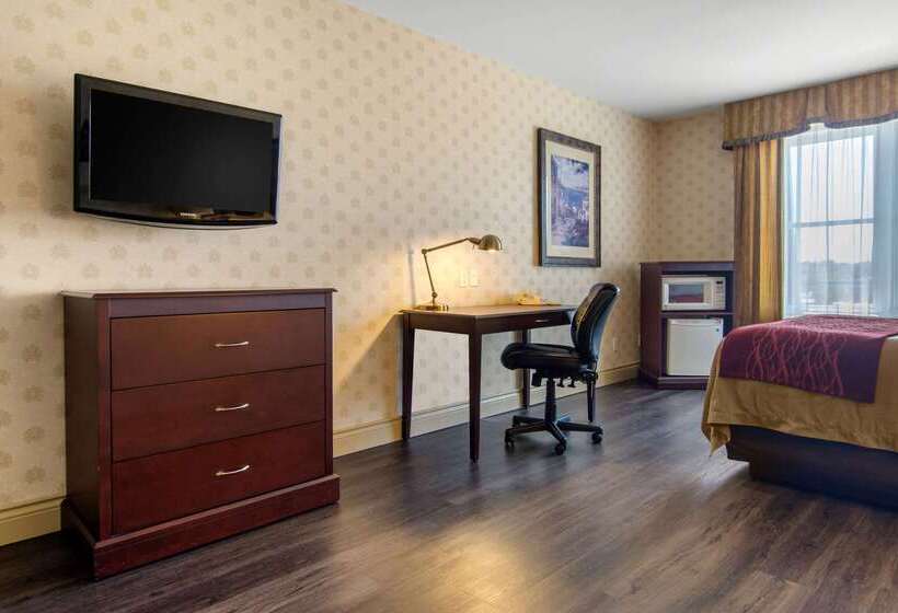 فندق Comfort Inn & Suites