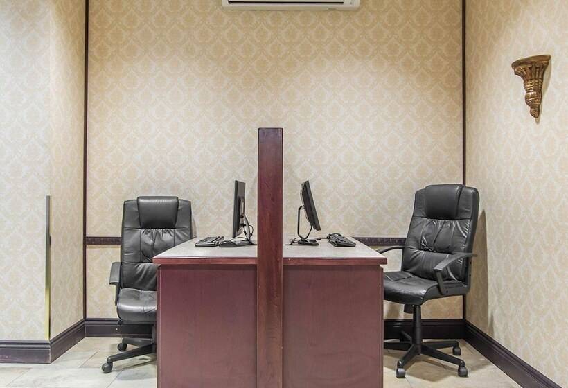 فندق Comfort Inn & Suites