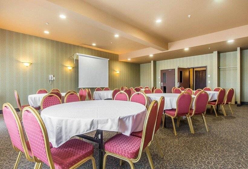 فندق Comfort Inn & Suites