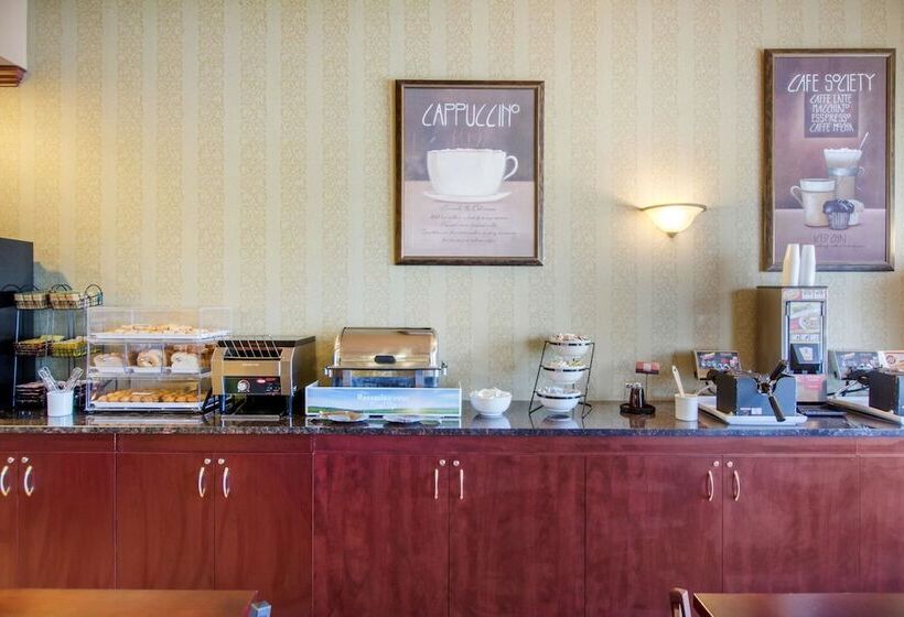 فندق Comfort Inn & Suites