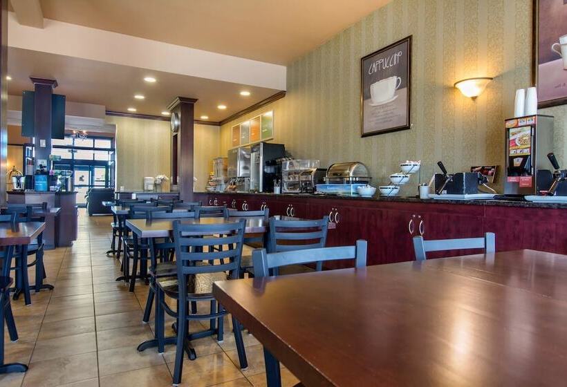 فندق Comfort Inn & Suites