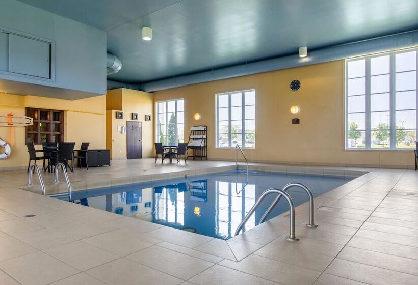 فندق Comfort Inn & Suites