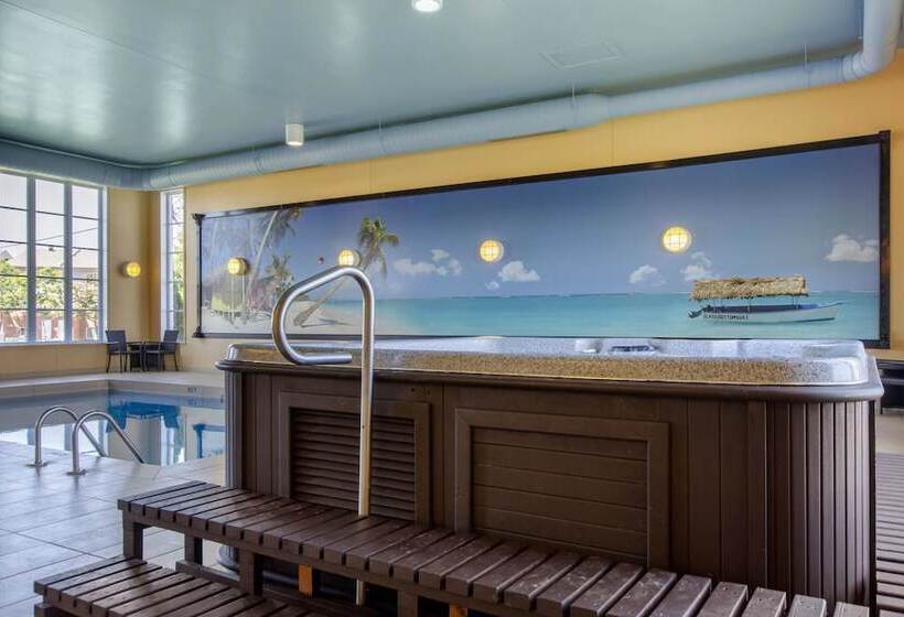 فندق Comfort Inn & Suites