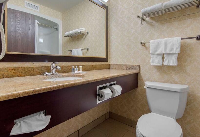 فندق Comfort Inn & Suites