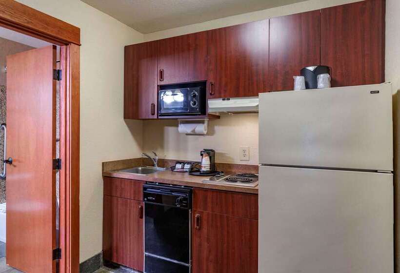 ホテル Comfort Inn & Suites