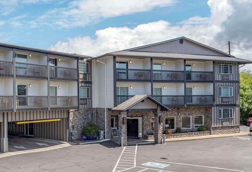 ホテル Comfort Inn & Suites