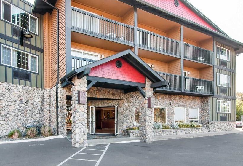 ホテル Comfort Inn & Suites