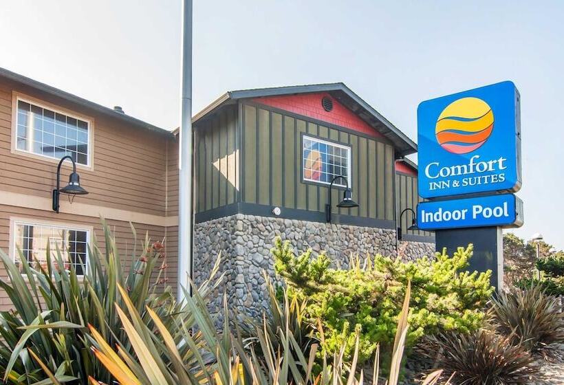 ホテル Comfort Inn & Suites