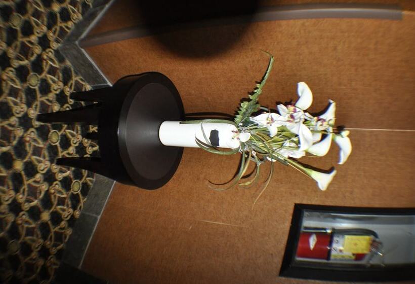 ホテル Comfort Inn & Suites