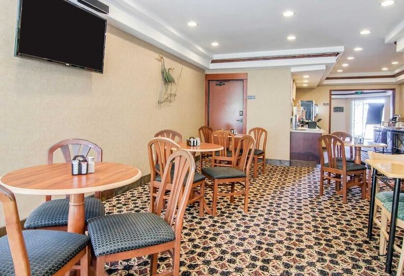 ホテル Comfort Inn & Suites