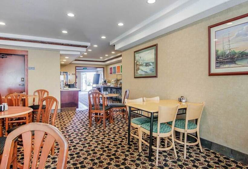 ホテル Comfort Inn & Suites