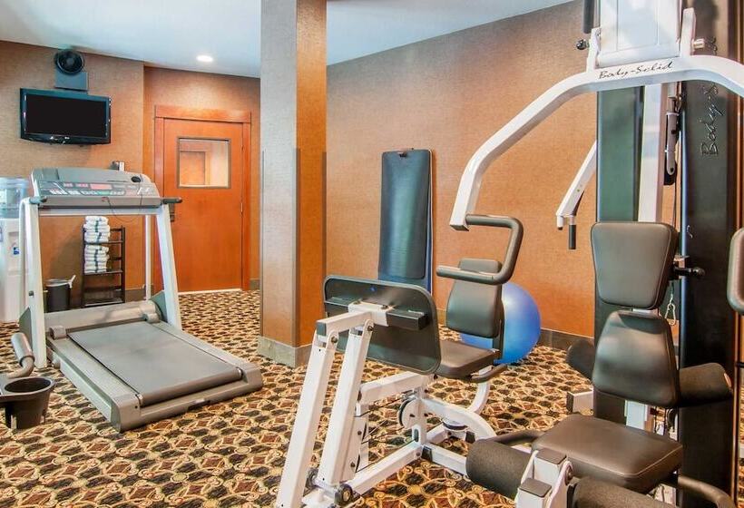 ホテル Comfort Inn & Suites