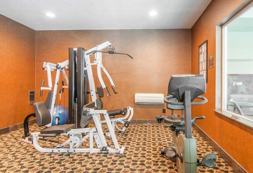 ホテル Comfort Inn & Suites