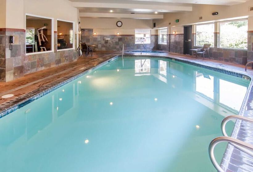 ホテル Comfort Inn & Suites