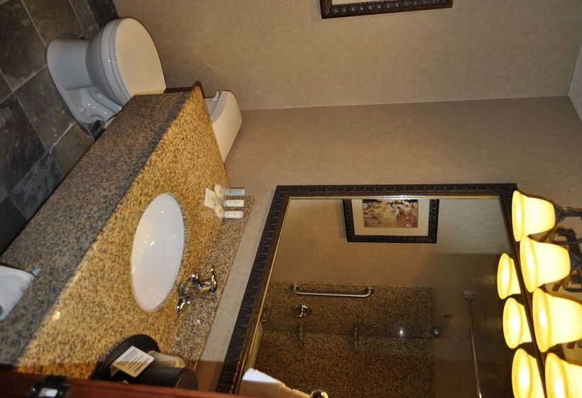 ホテル Comfort Inn & Suites