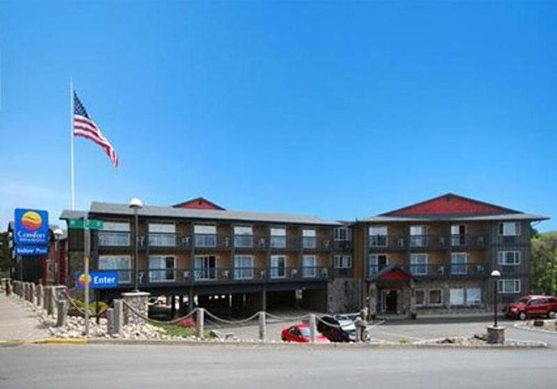ホテル Comfort Inn & Suites