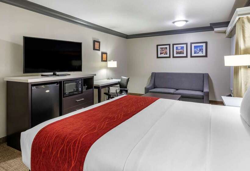 هتل Comfort Inn & Suites Near Universal  N. Hollywood  Burbank