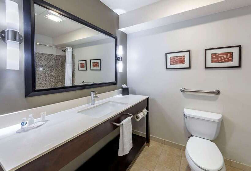 هتل Comfort Inn & Suites Near Universal  N. Hollywood  Burbank