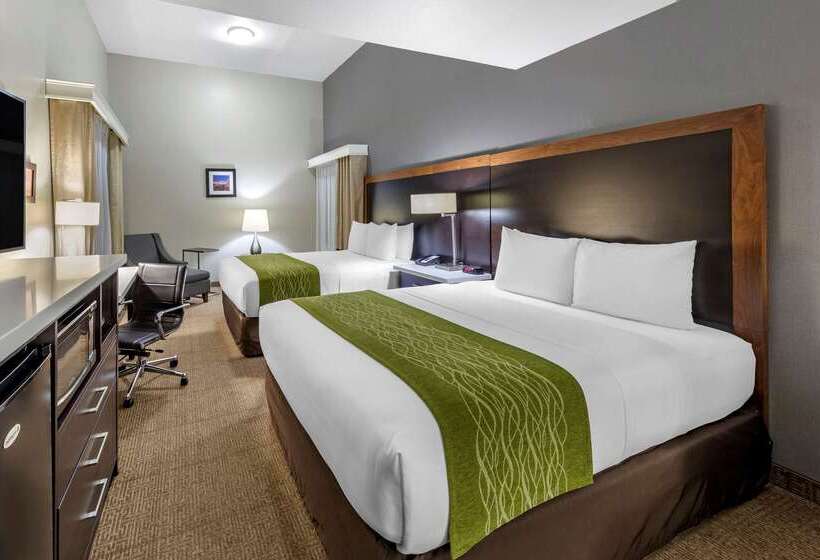 Отель Comfort Inn & Suites Near Universal N. Hollywood Burbank