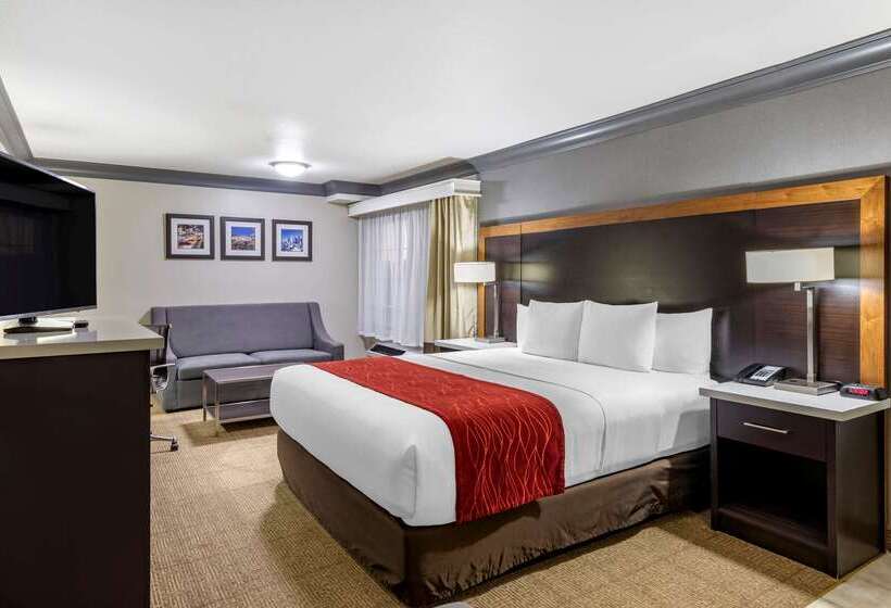 Отель Comfort Inn & Suites Near Universal N. Hollywood Burbank