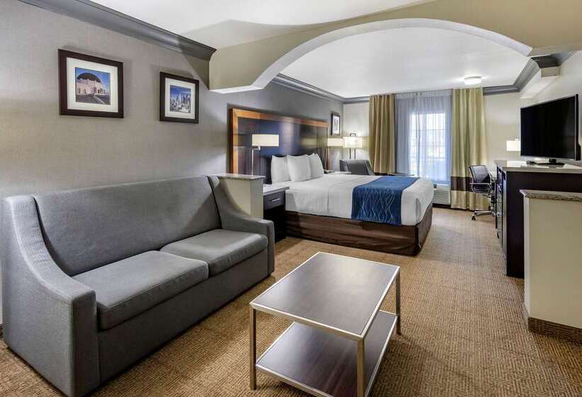 هتل Comfort Inn & Suites Near Universal  N. Hollywood  Burbank