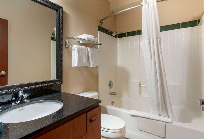 酒店 Comfort Inn & Suites Salem