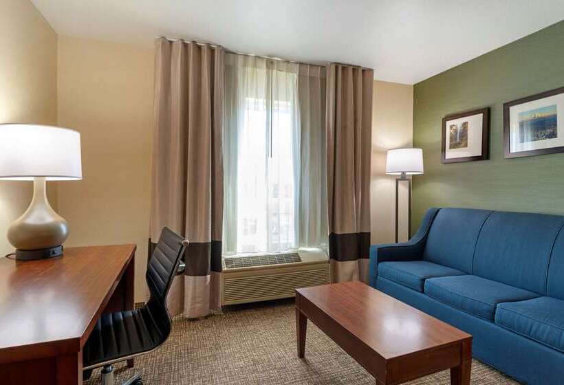 酒店 Comfort Inn & Suites Salem