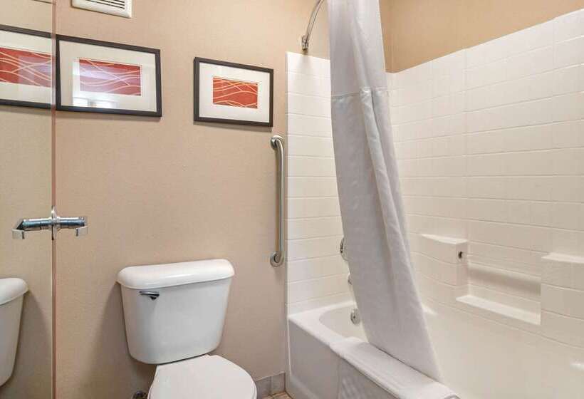 酒店 Comfort Inn & Suites Salem