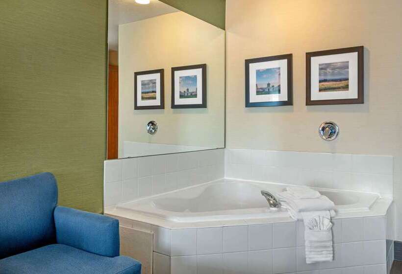 酒店 Comfort Inn & Suites Salem