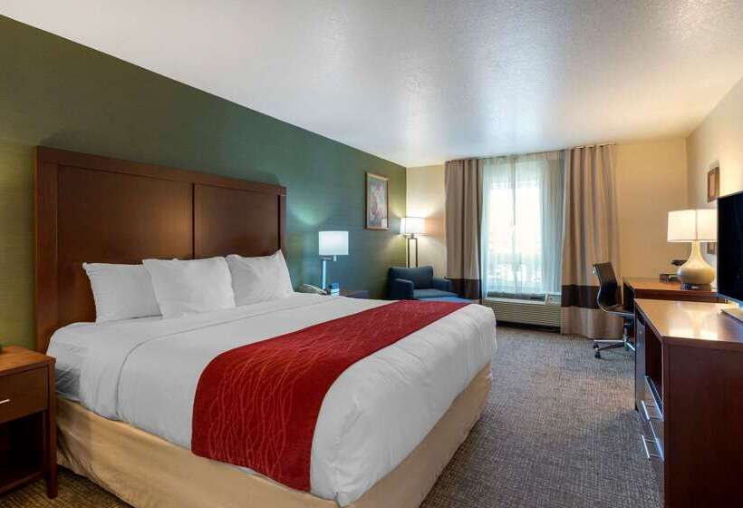 酒店 Comfort Inn & Suites Salem