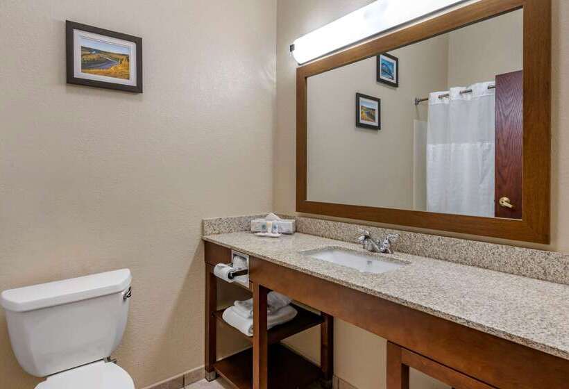 فندق Comfort Inn & Suites St. Louiso Fallon