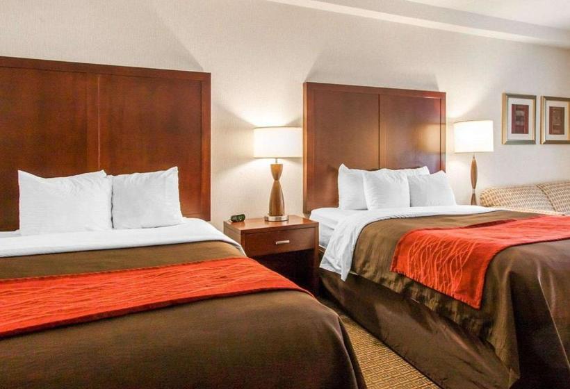 酒店 Comfort Inn & Suitesportland Airport