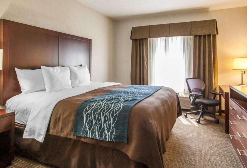 酒店 Comfort Inn & Suitesportland Airport