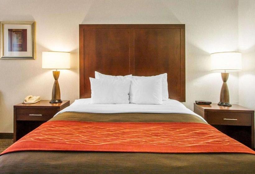 호텔 Comfort Inn & Suitesportland Airport