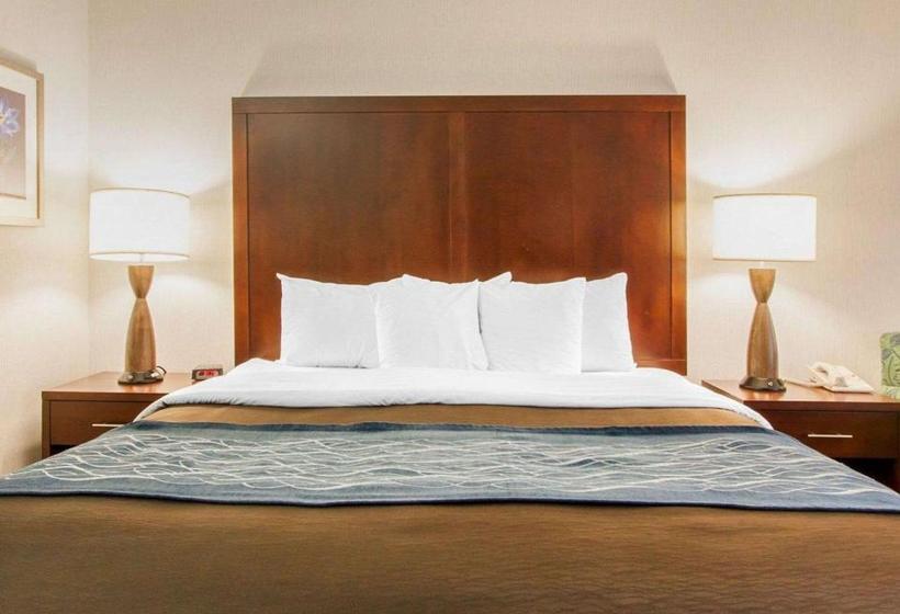 酒店 Comfort Inn & Suitesportland Airport