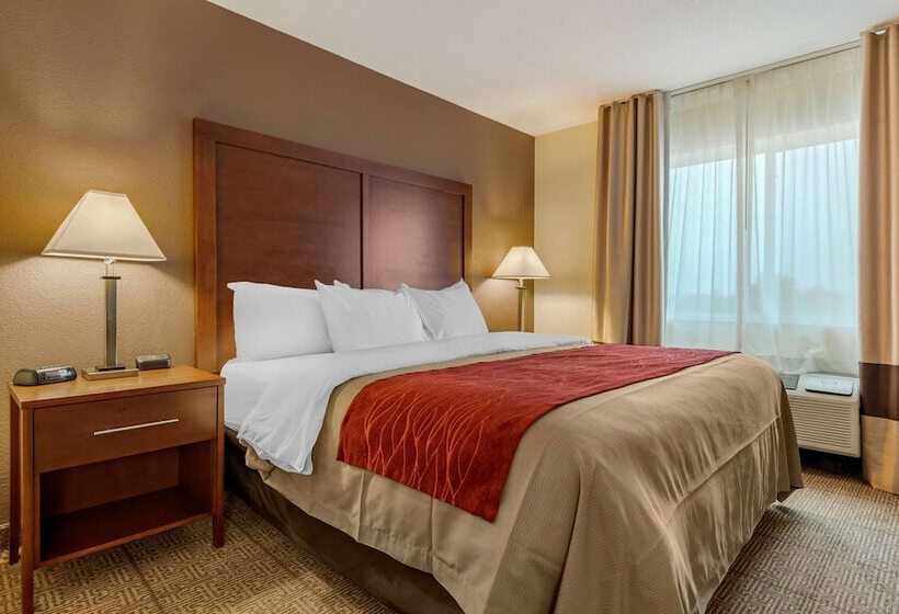 酒店 Comfort Inn Warren I 69