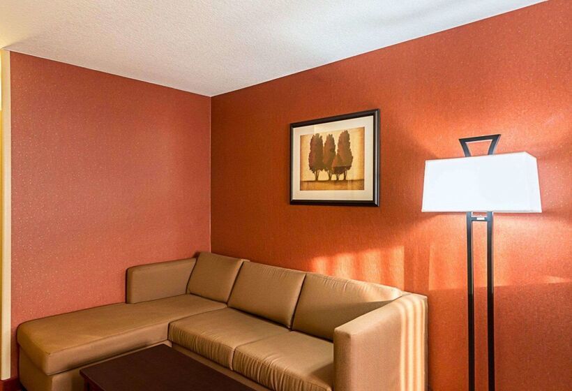 Отель Comfort Suites Airport