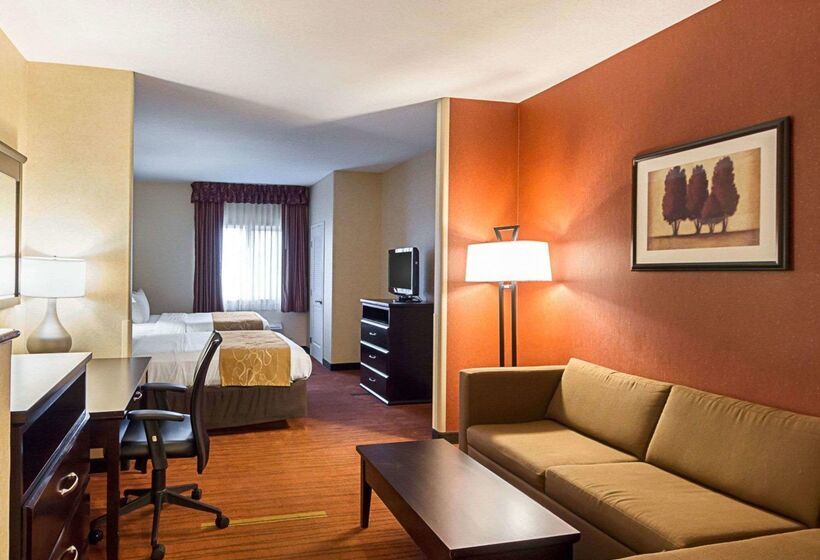 Отель Comfort Suites Airport