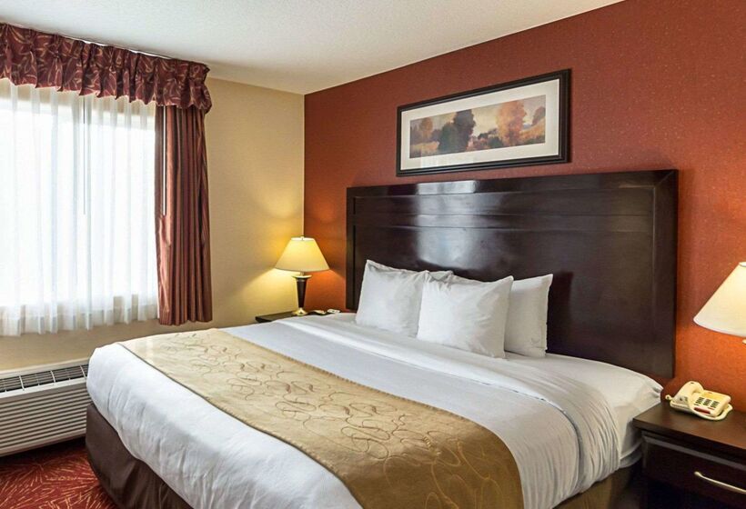 Отель Comfort Suites Airport