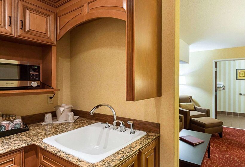 Отель Comfort Suites Airport