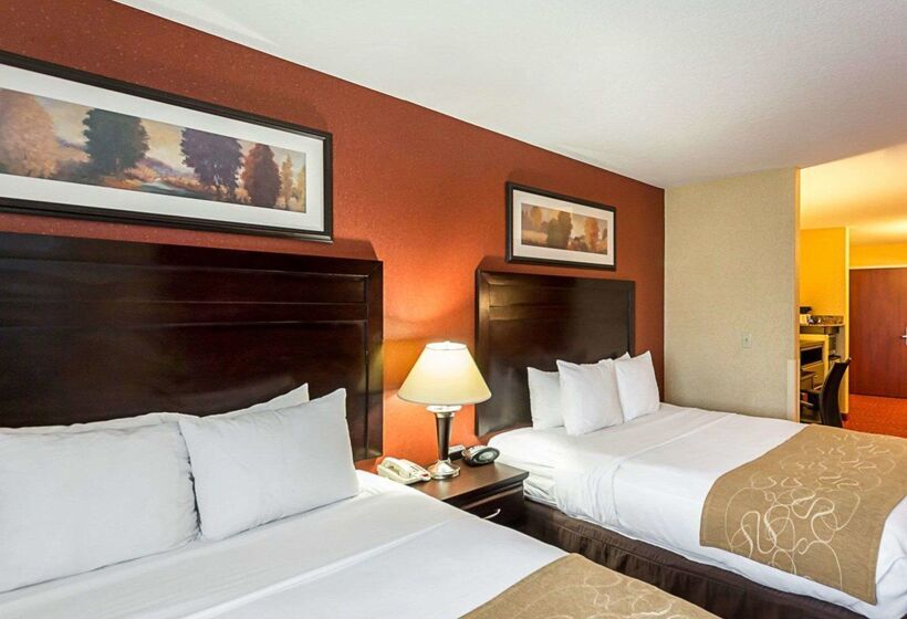 Отель Comfort Suites Airport