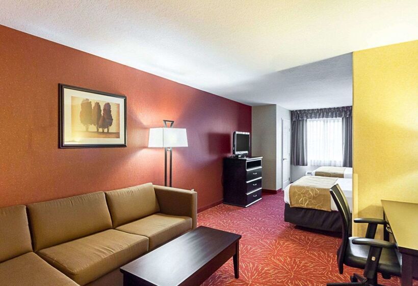 Отель Comfort Suites Airport