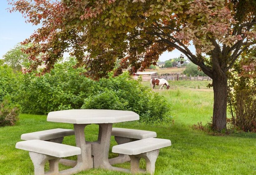 فندق Comfort Suites Boise West Meridian