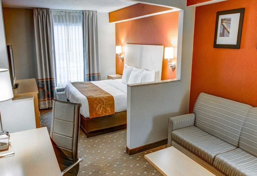 Отель Comfort Suites Pittsburgh Airport