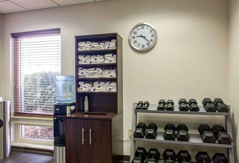 فندق Comfort Suites