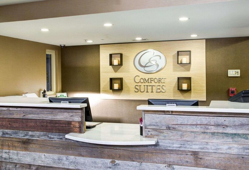 فندق Comfort Suites