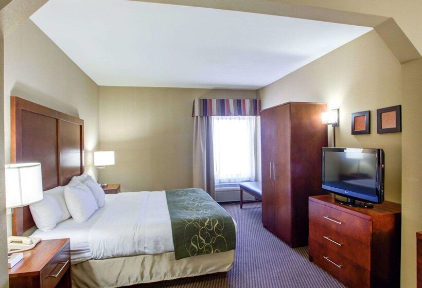 فندق Comfort Suites