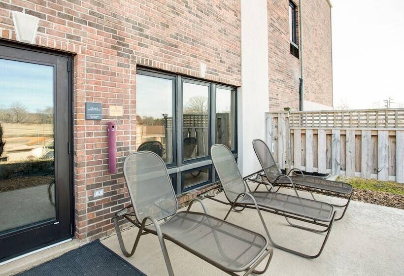 فندق Comfort Suites