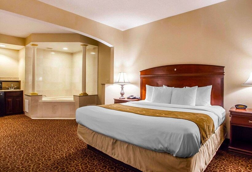 فندق Comfort Suites East Brunswick  South River