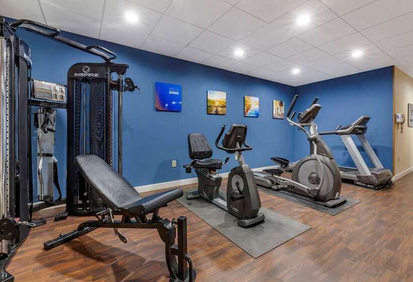 فندق Comfort Suites